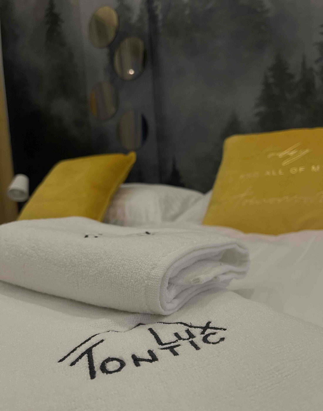 Detalj enterijera apartmana Tontić Lux 54